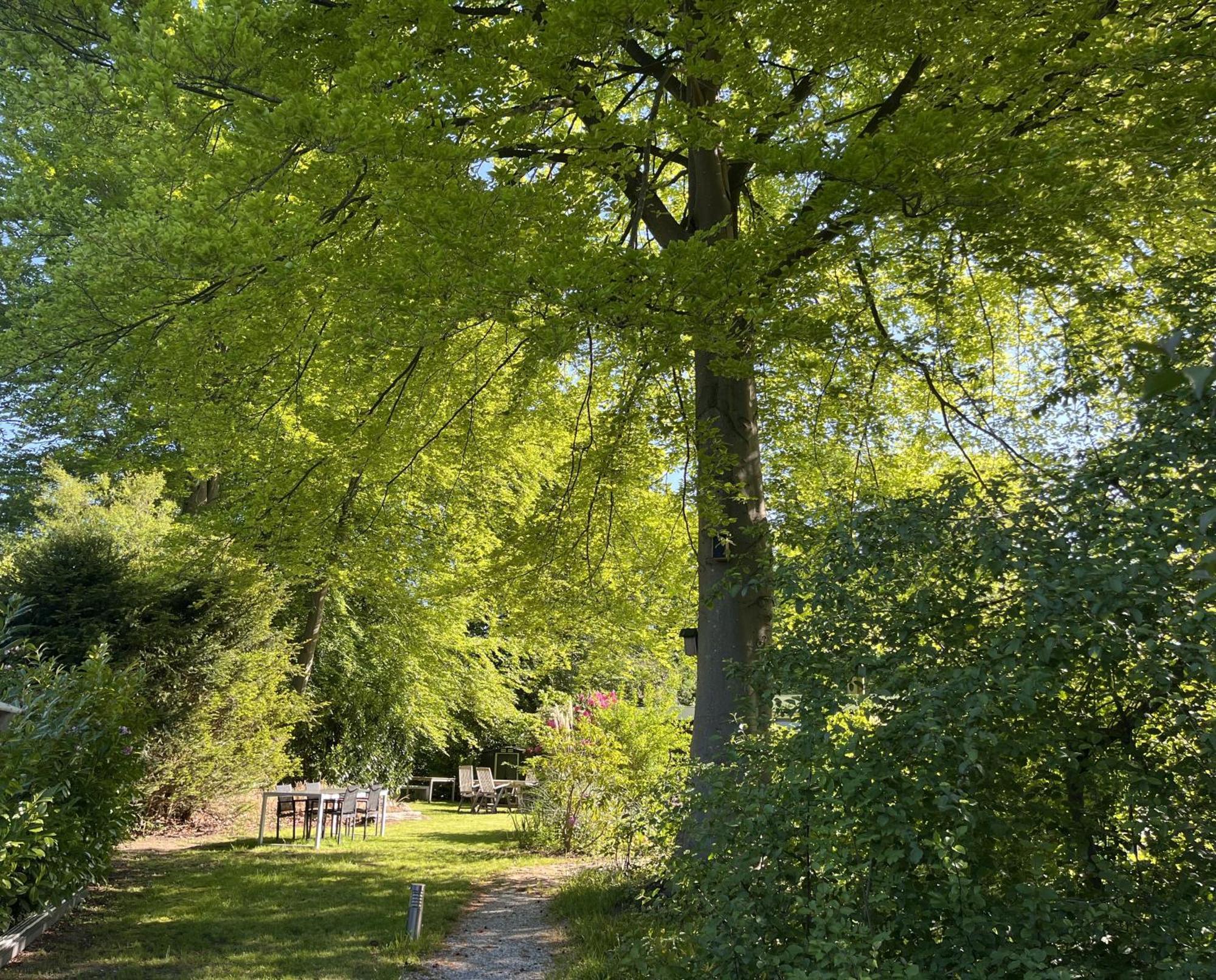 Bungalowpark De Bremerberg Biddinghuizen Pokoj fotografie